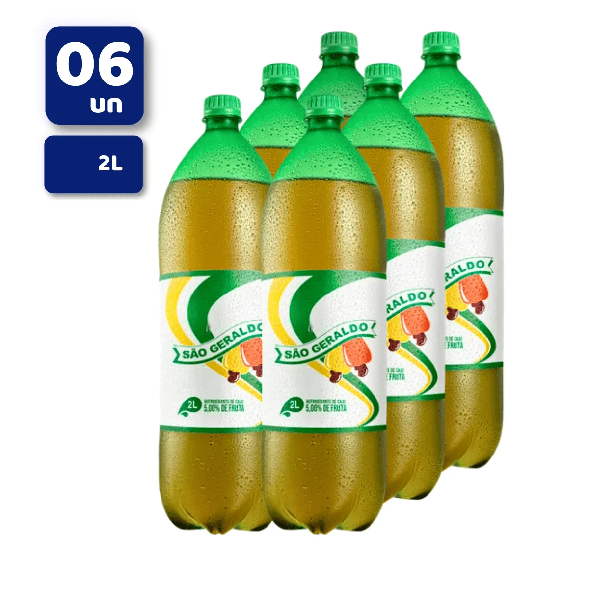 REFRIG SAO GERALDO 6X2LT