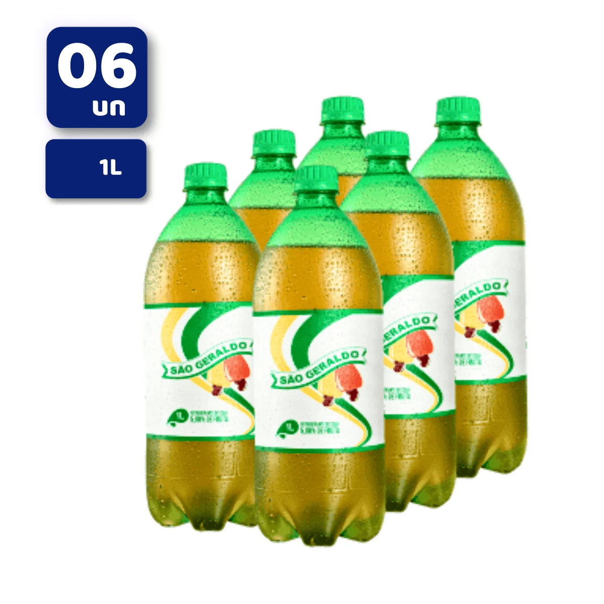 REFRIG SAO GERALDO 6X1L